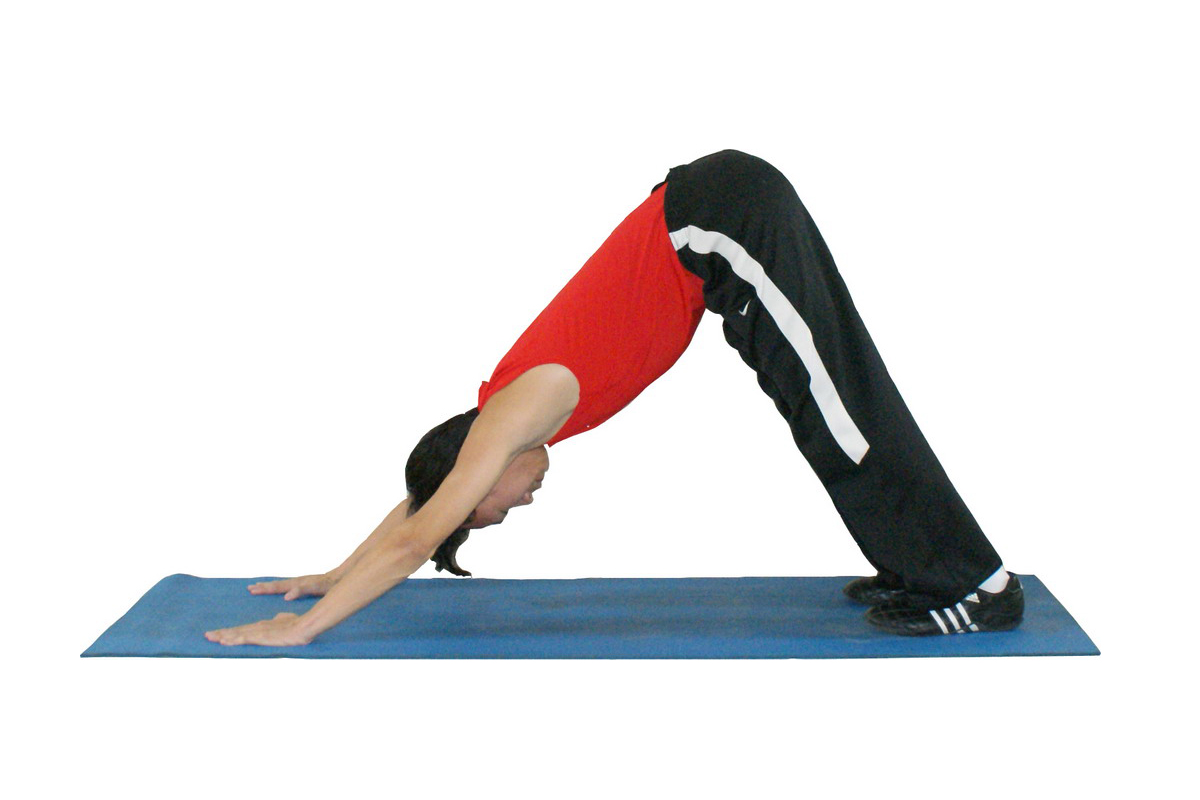 Downward Facing Dog